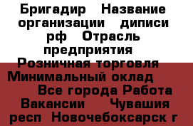 Бригадир › Название организации ­ диписи.рф › Отрасль предприятия ­ Розничная торговля › Минимальный оклад ­ 35 000 - Все города Работа » Вакансии   . Чувашия респ.,Новочебоксарск г.